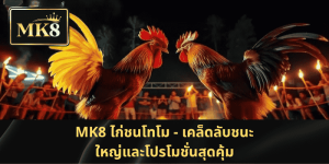 MK8 ไก่ชนโทโม – เคล็ดลับชนะทุกแมตช์พร้อมโปรโมชั่นสุดพิเศษ